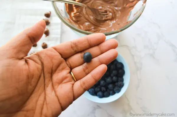 dry the blueberries completely